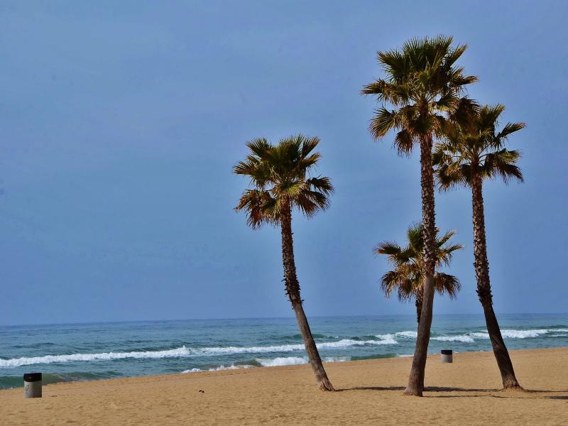 Camping Estival Vendrell Platja コマルガ エクステリア 写真