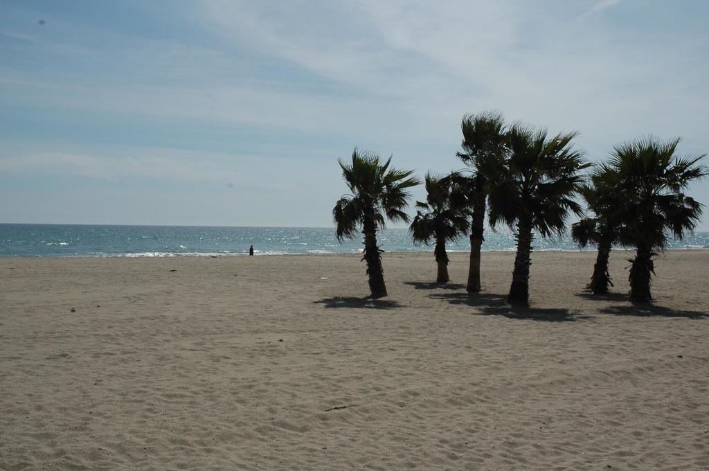 Camping Estival Vendrell Platja コマルガ 部屋 写真